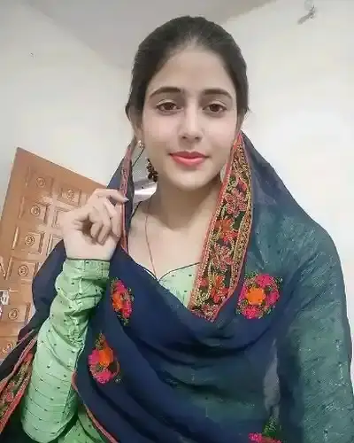 Call Girl Bhamragad